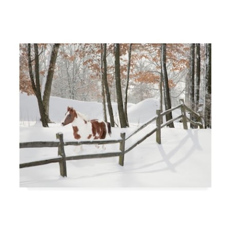 Monte Nagler 'Athena In The Snow Farmington Hills Michigan' Canvas Art,35x47
